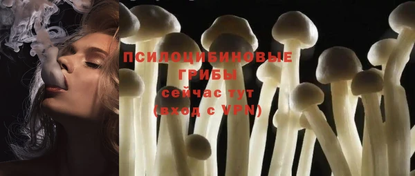шишки Баксан