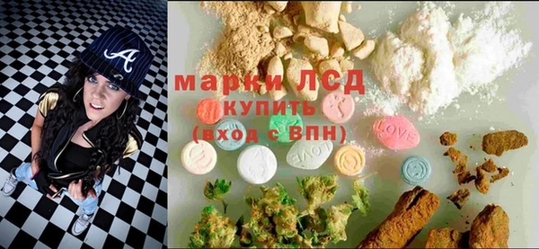 шишки Баксан