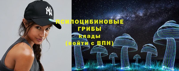 шишки Баксан
