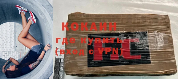 шишки Баксан