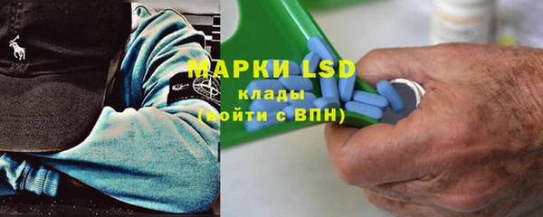 шишки Баксан