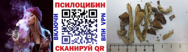 Купить закладки  Остров  Псилоцибиновые грибы MAGIC MUSHROOMS 